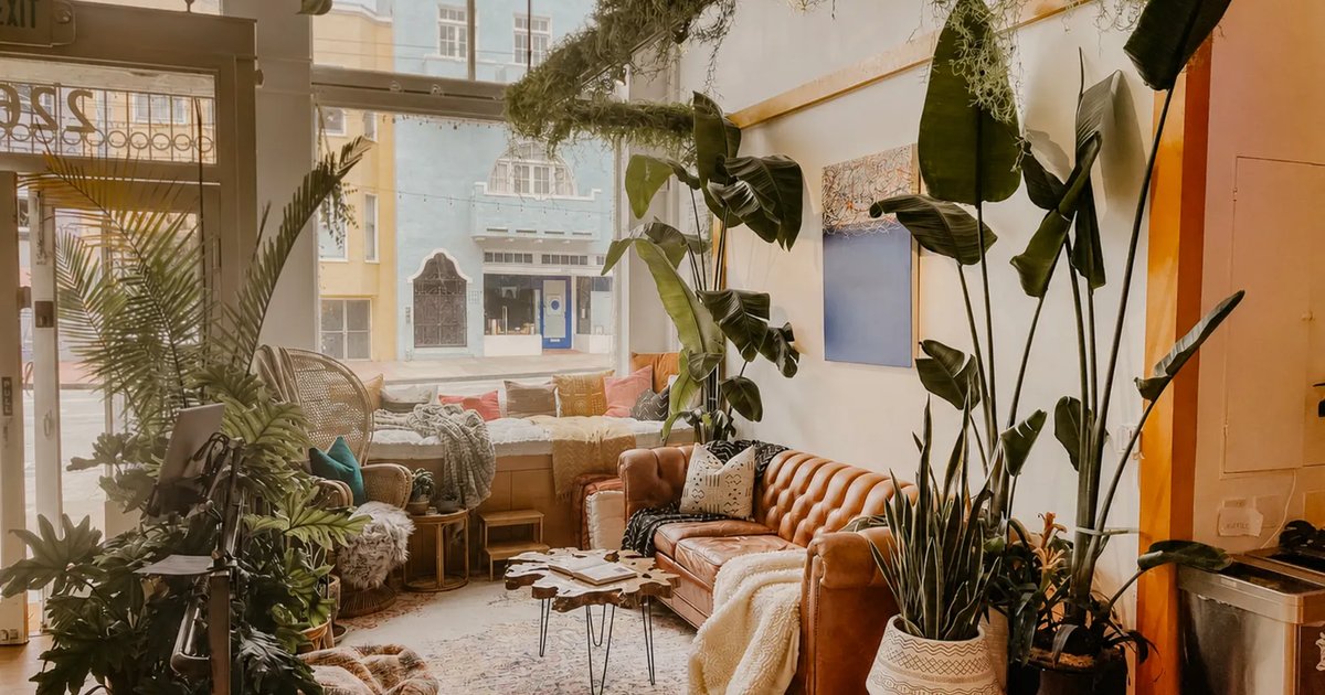 The Bungalow by Tribe